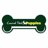 Central Park Puppies image 4
